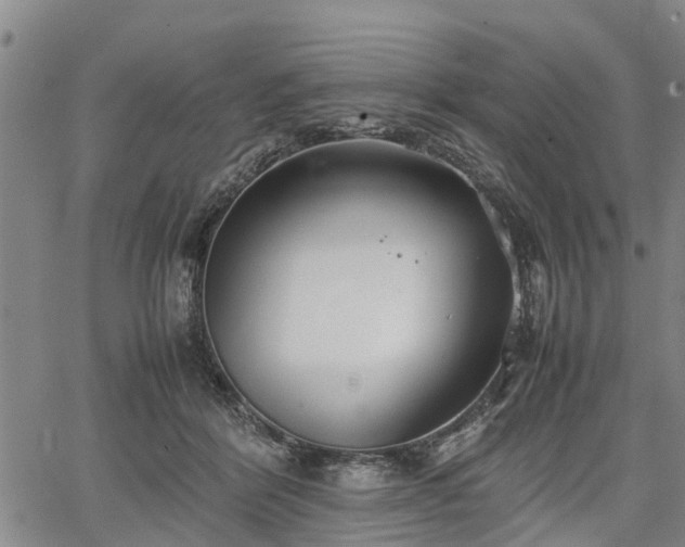 X0000067520412200604101331