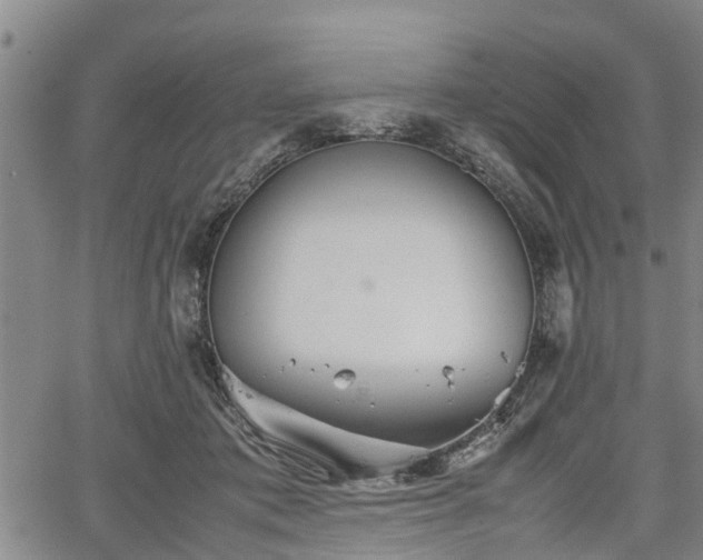 X0000067520413200604101331