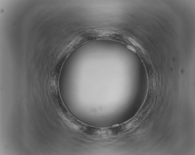 X0000067520415200604101331