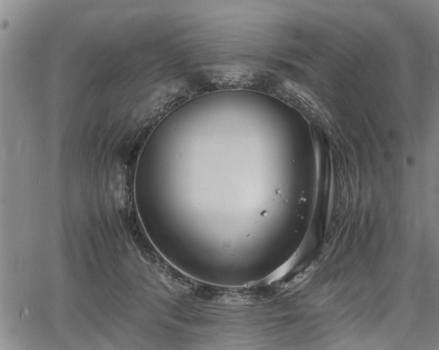 X0000067520416200604101331