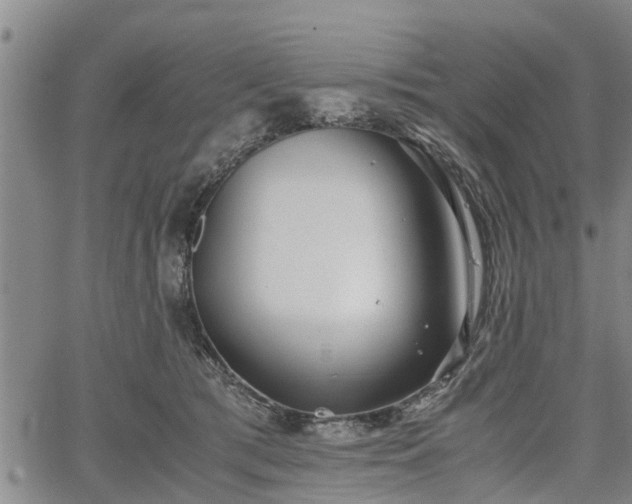 X0000067520417200604101331