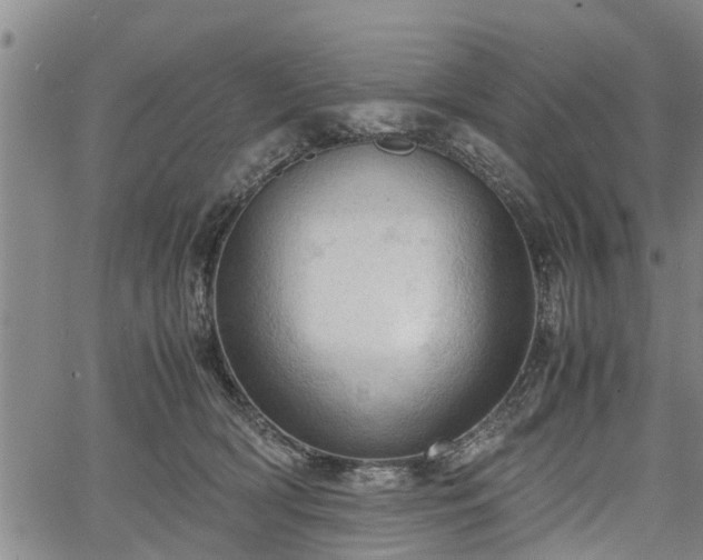 X0000067520418200604101331