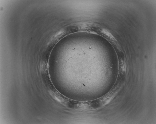 X0000067520419200604101331