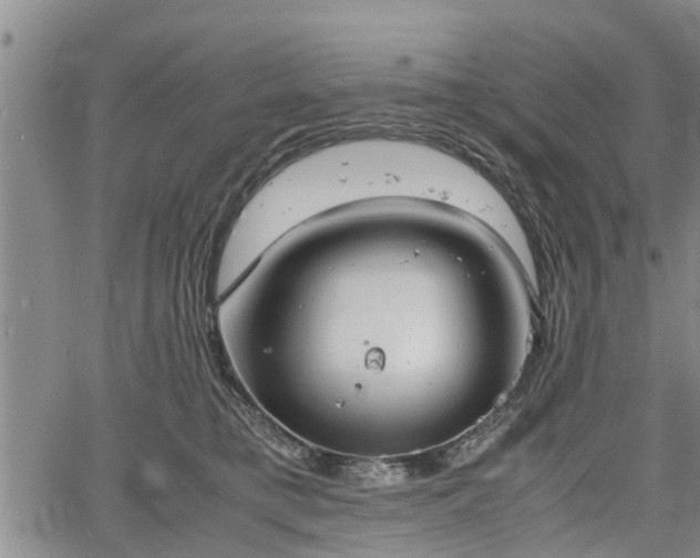 X0000067520421200604101331