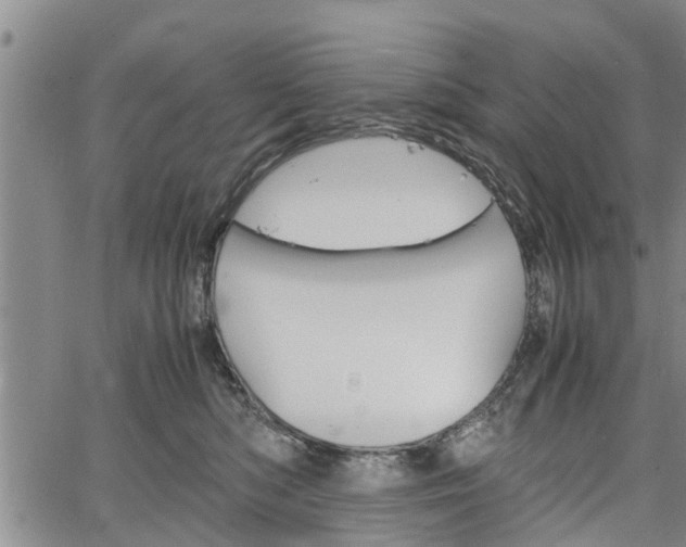 X0000067520422200604101331