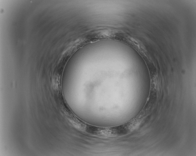 X0000067520423200604101331