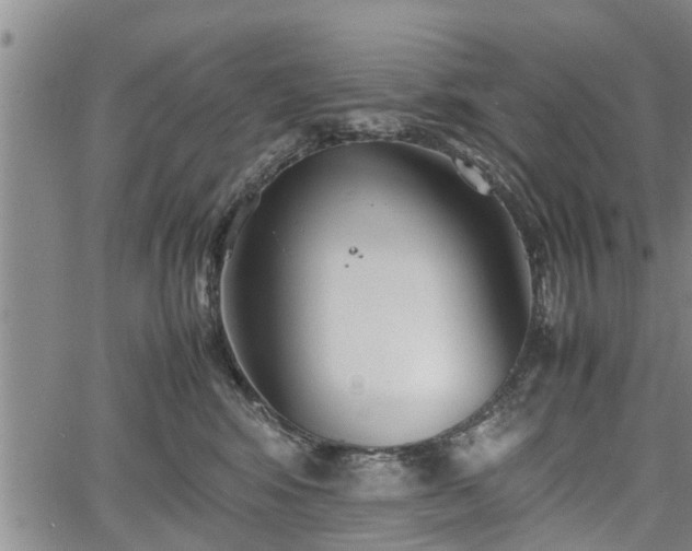 X0000067520424200604101331