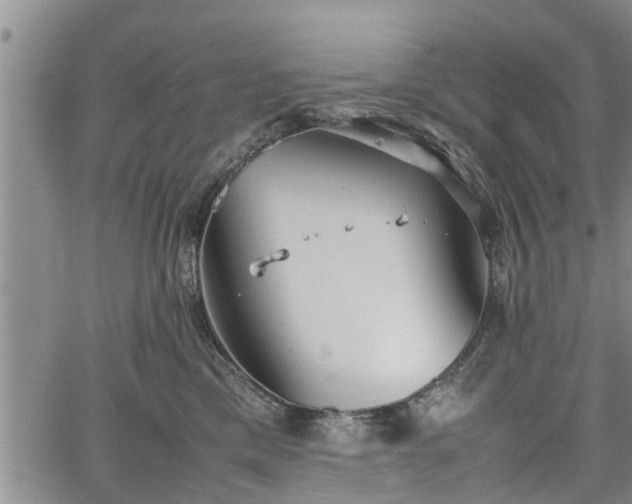 X0000067520425200604101331