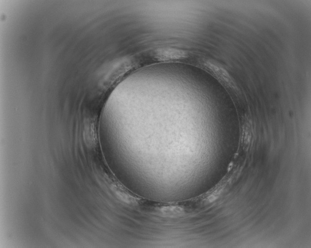 X0000067520426200604101331