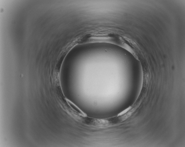 X0000067520429200604101331