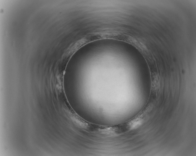 X0000067520430200604101331