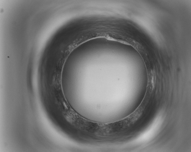 X0000067520431200604101331