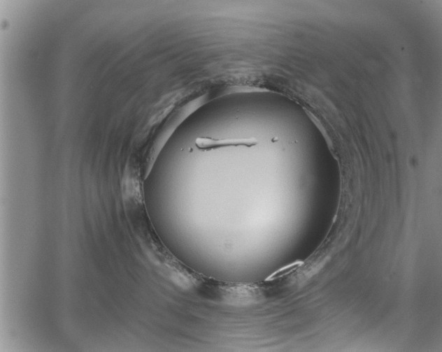 X0000067520432200604101331