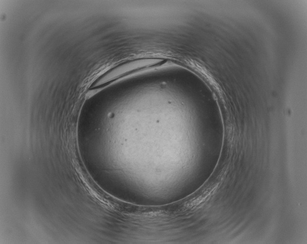 X0000067520433200604101330