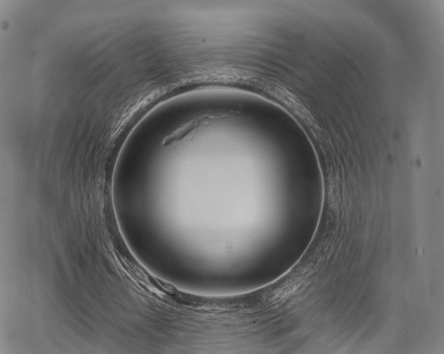 X0000067520434200604101330