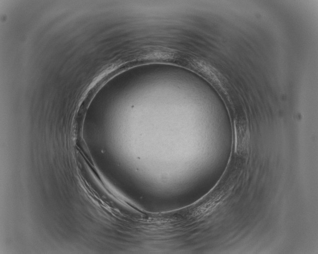 X0000067520435200604101330