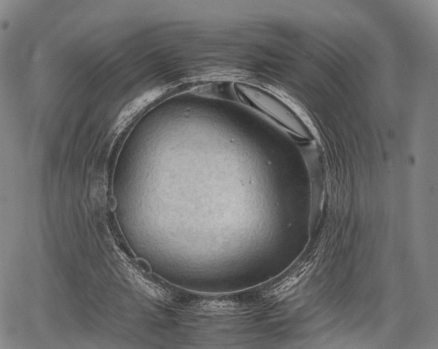 X0000067520437200604101330