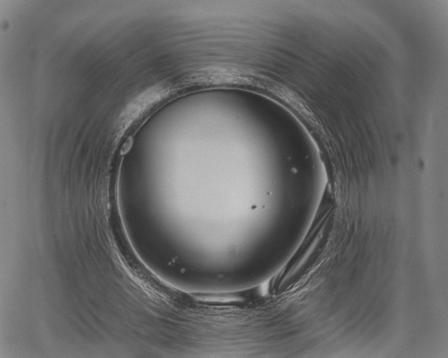 X0000067520438200604101330