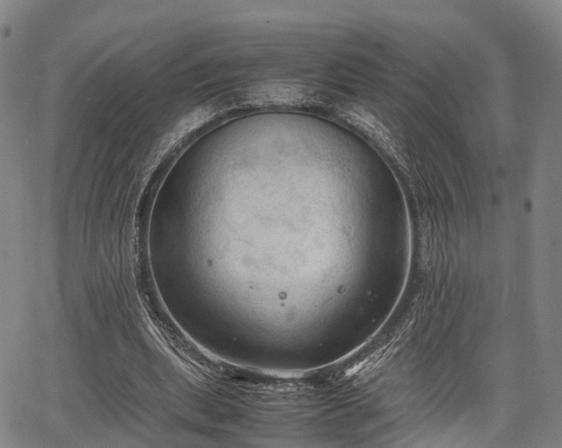 X0000067520439200604101330