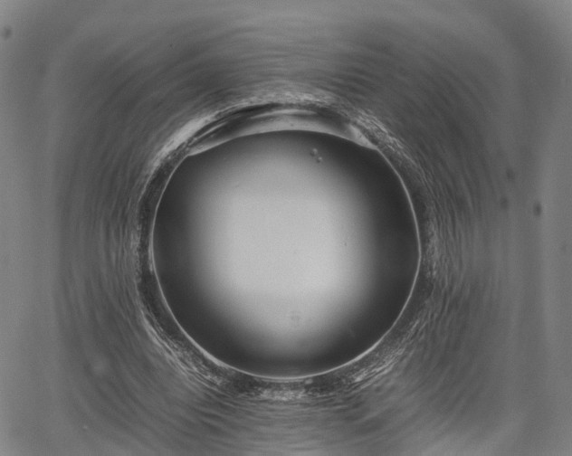 X0000067520440200604101330