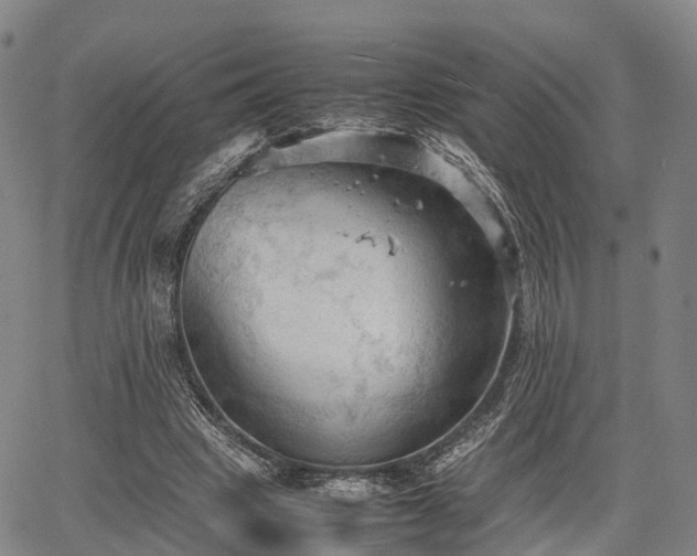 X0000067520441200604101330