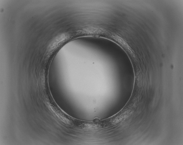 X0000067520442200604101330