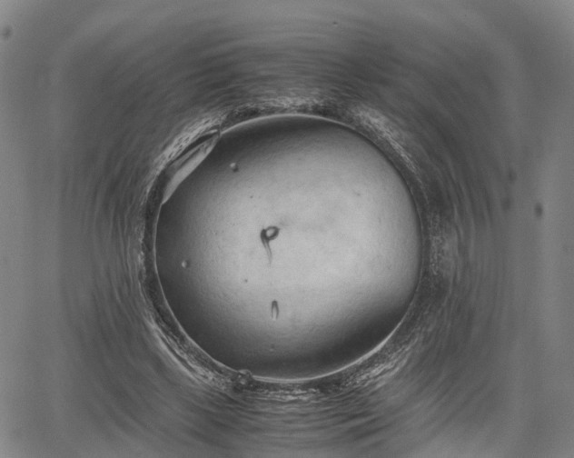 X0000067520443200604101330