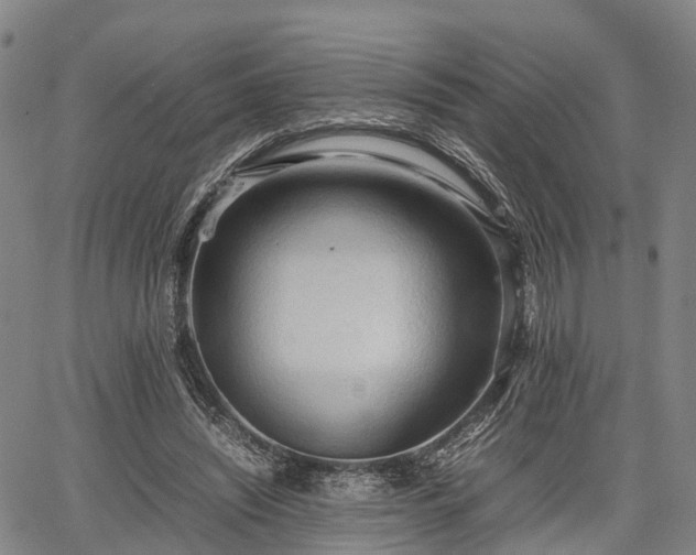 X0000067520444200604101330