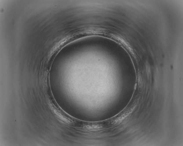 X0000067520445200604101330