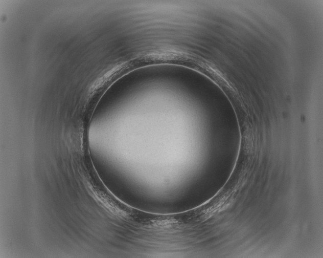 X0000067520446200604101330