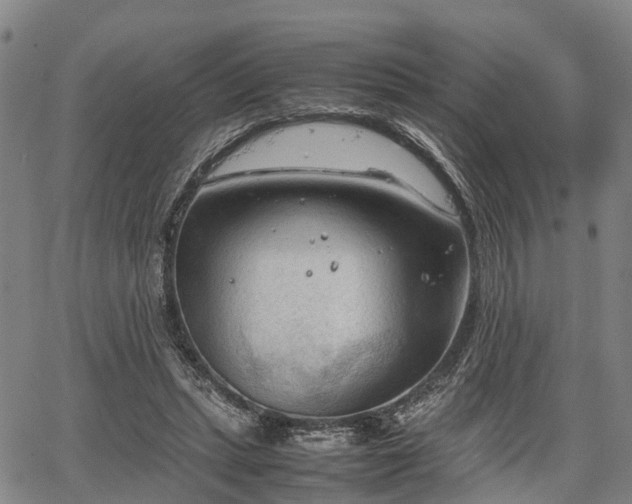 X0000067520447200604101330