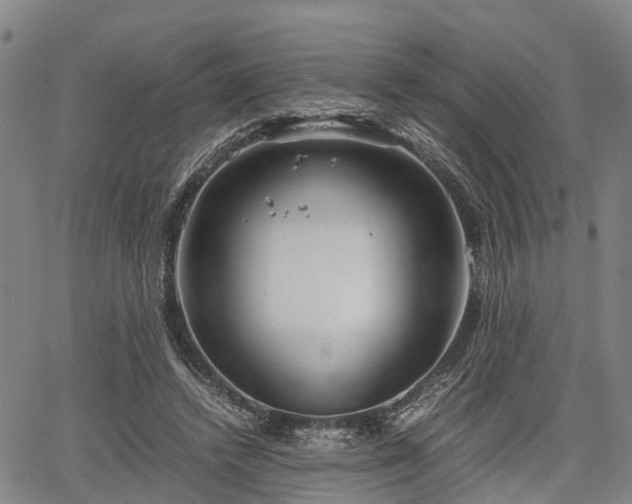 X0000067520448200604101330