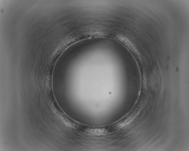 X0000067520449200604101330