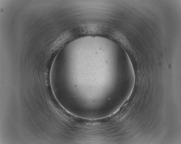 X0000067520450200604101330