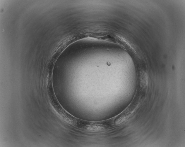 X0000067520451200604101331