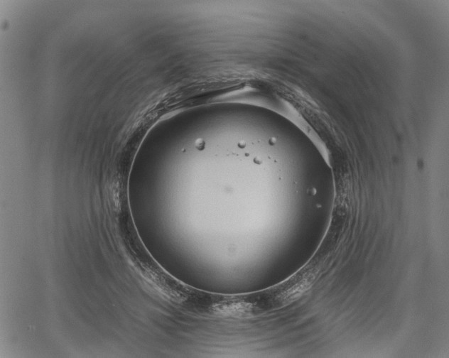 X0000067520452200604101331