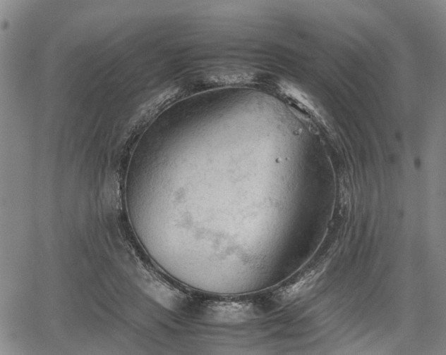 X0000067520453200604101331