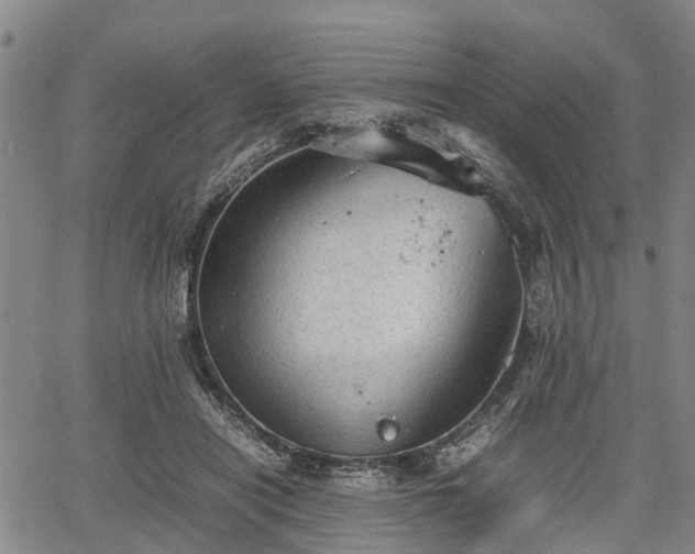 X0000067520454200604101331