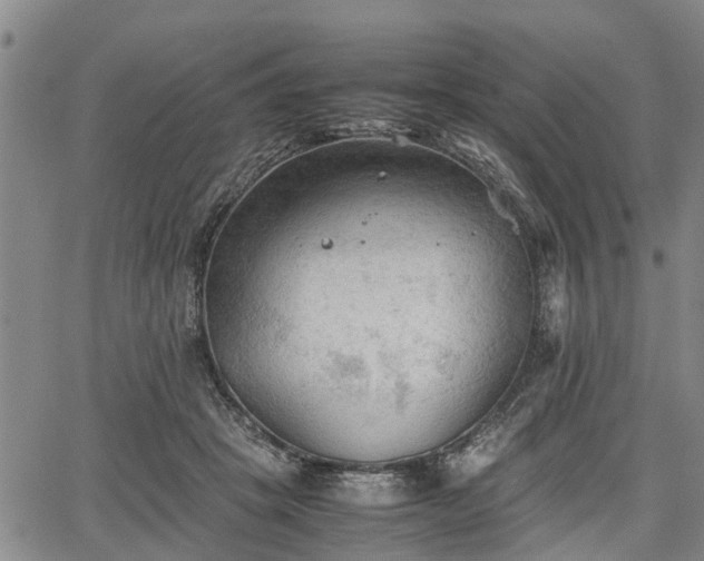 X0000067520457200604101331