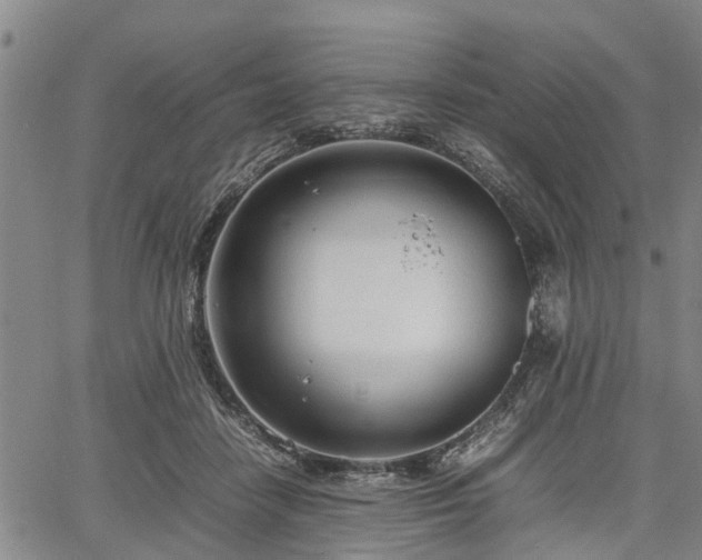 X0000067520458200604101331