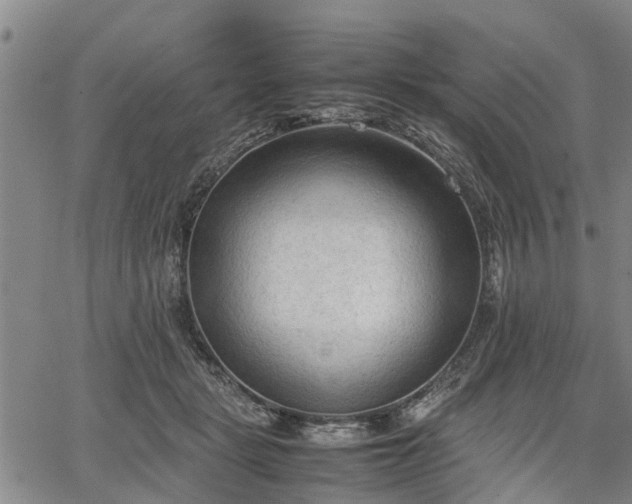 X0000067520461200604101331