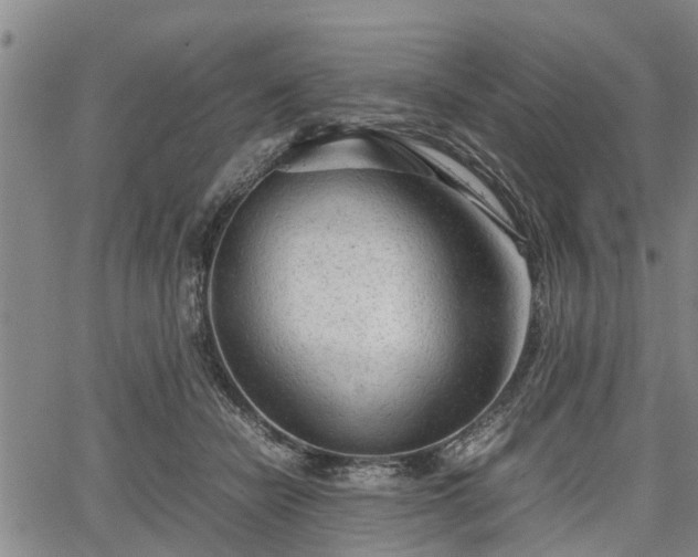 X0000067520462200604101331