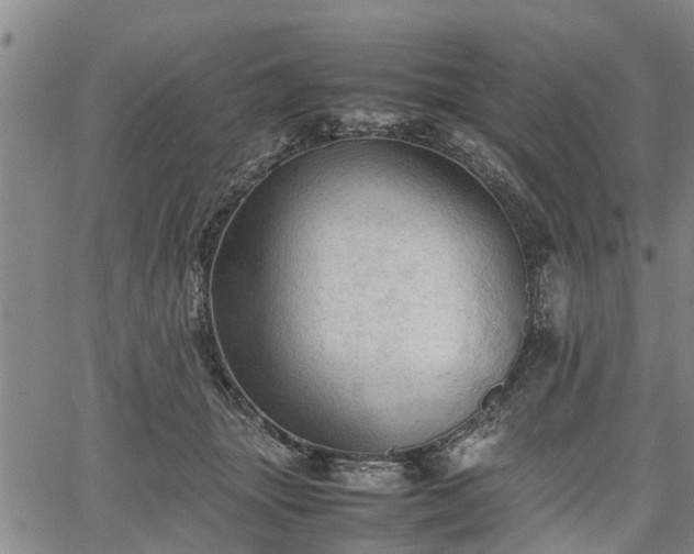 X0000067520463200604101331