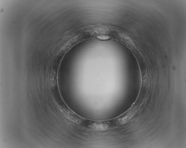 X0000067520464200604101331