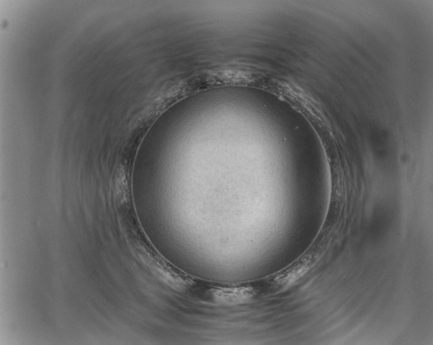 X0000067520465200604101331