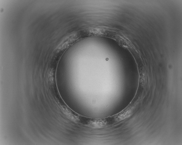 X0000067520466200604101331