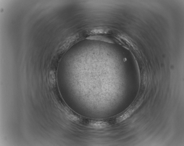 X0000067520467200604101331