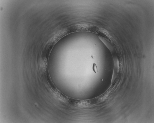 X0000067520468200604101331