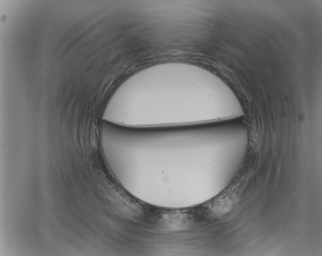 X0000067520470200604101331