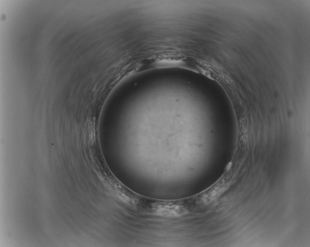 X0000067520471200604101331